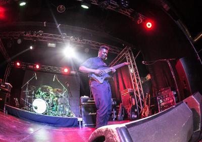 Animals as Leaders